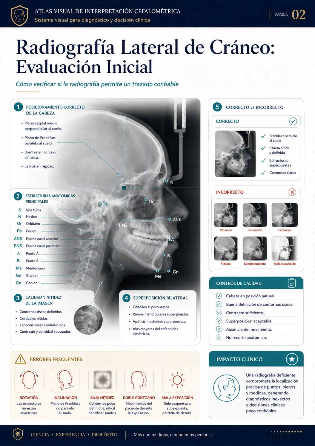 Radiografía Lateral de Cráneo: Evaluación Inicial