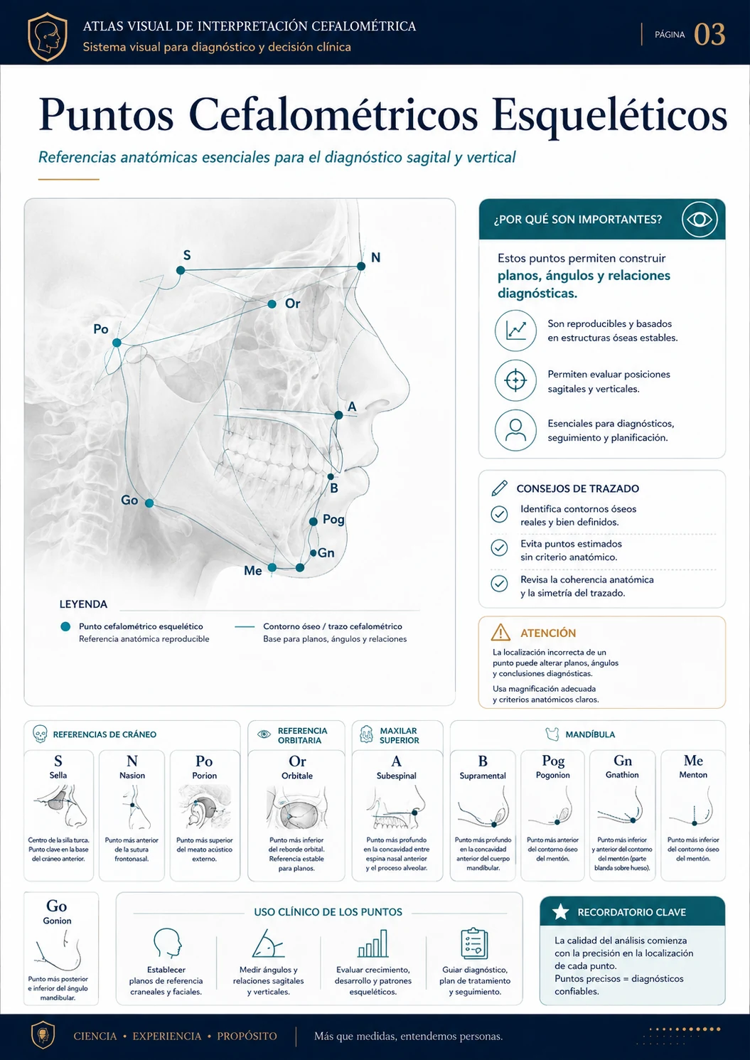 Puntos Cefalométricos Esqueléticos