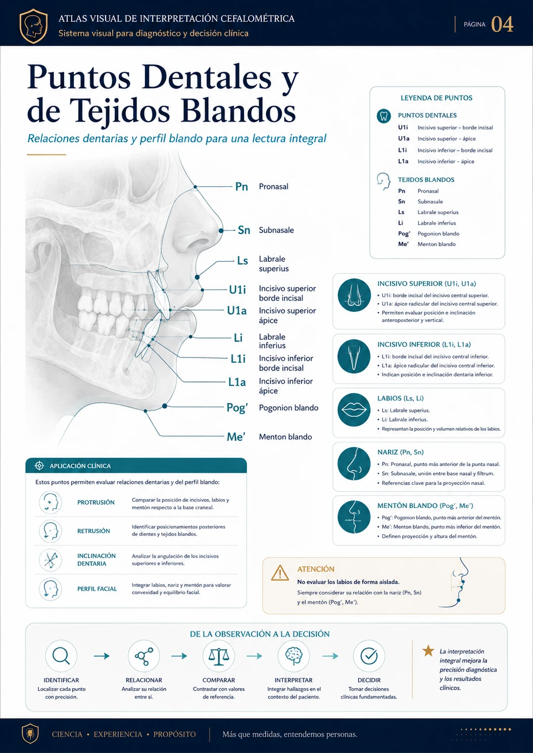 Puntos Dentales y de Tejidos Blandos