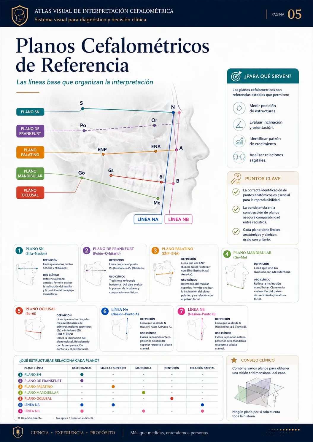 Planos Cefalométricos de Referencia