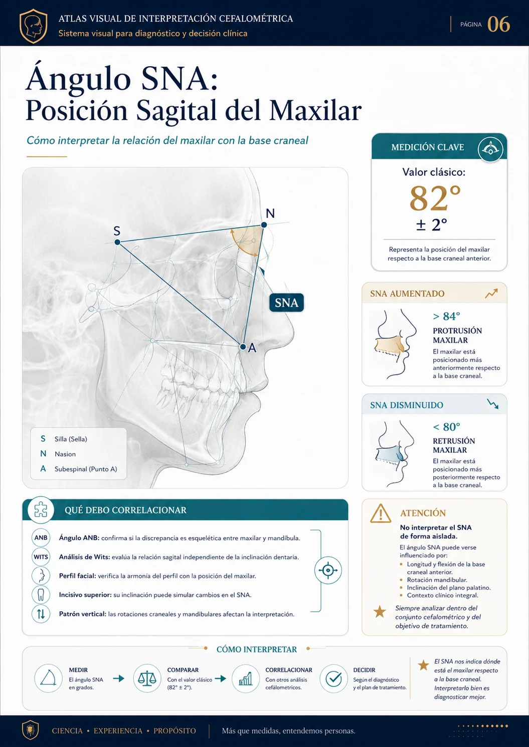 Ángulo SNA: Posición Sagital del Maxilar