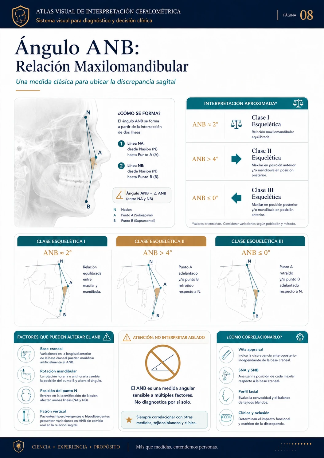 Ángulo ANB: Relación Maxilomandibular