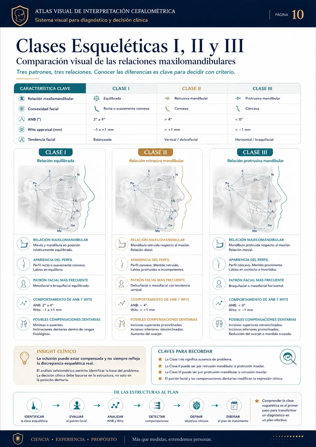 Clases Esqueléticas I, II y III