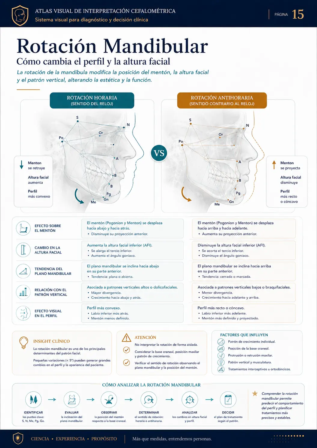 Rotación Mandibular