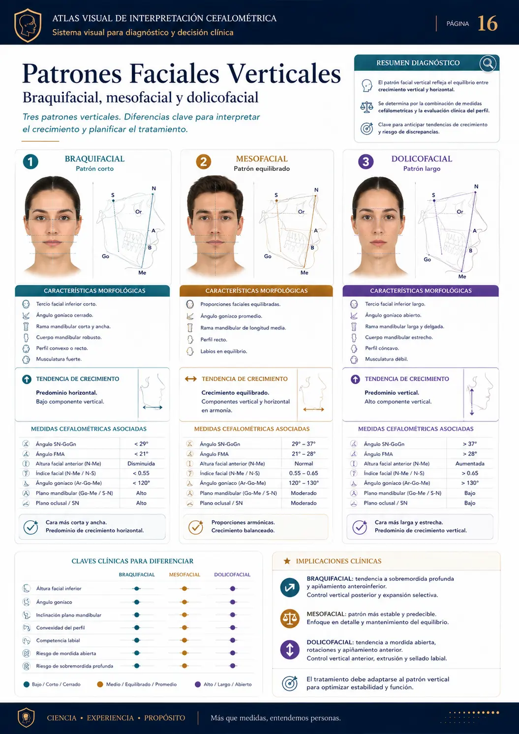 Patrones Faciales Verticales
