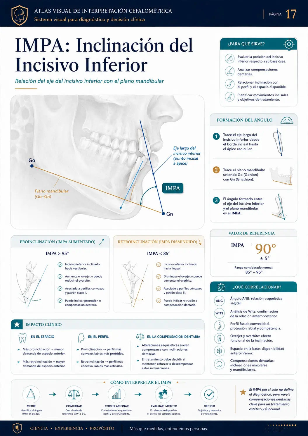 IMPA: Inclinación del Incisivo Inferior