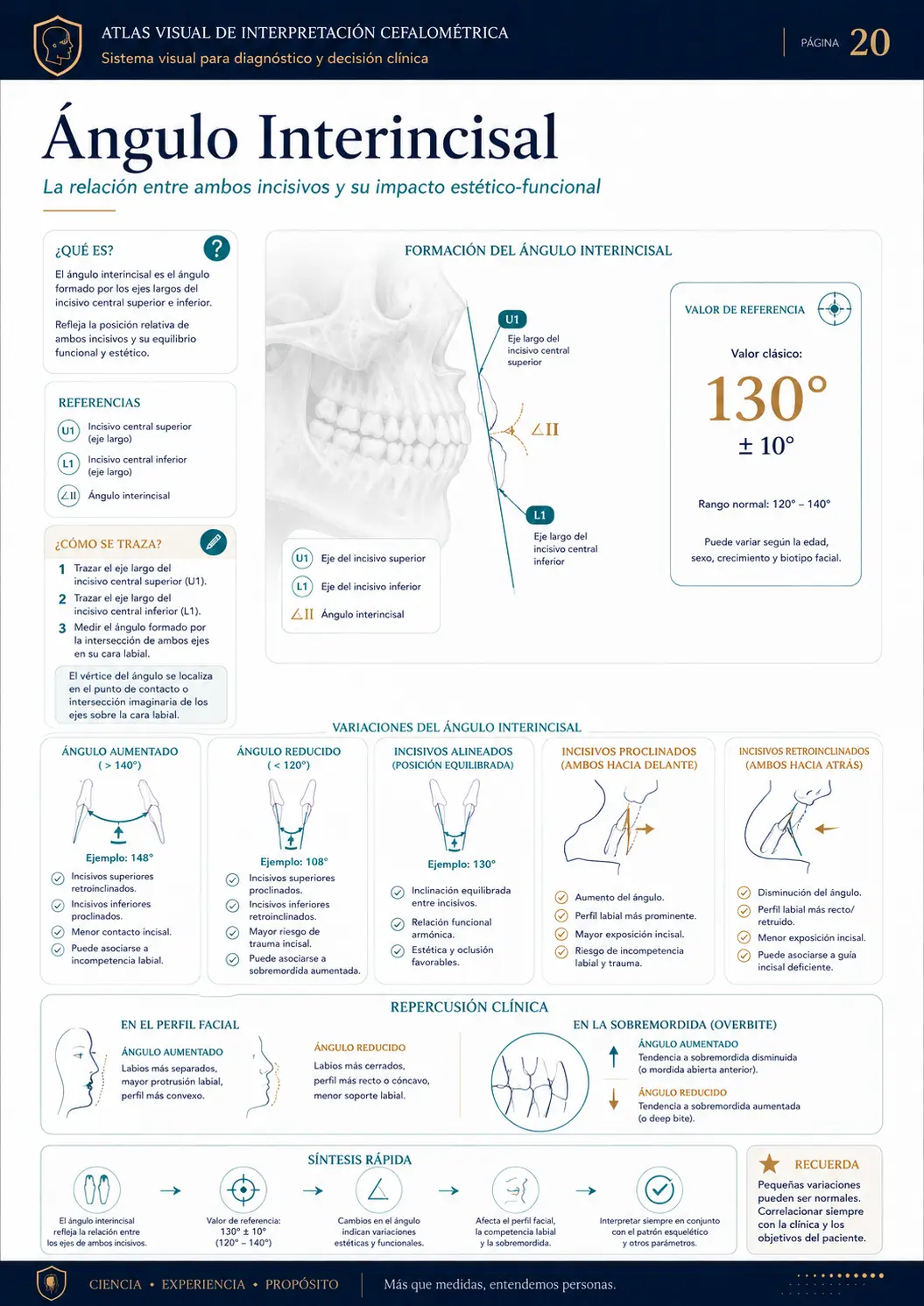 Ángulo Interincisal