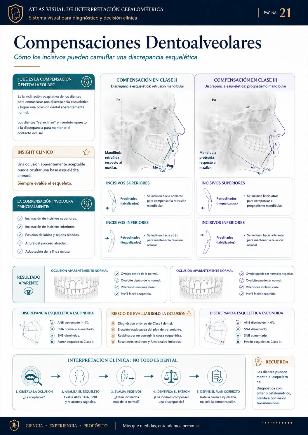Compensaciones Dentoalveolares