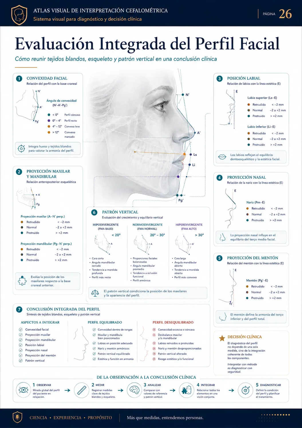 Evaluación Integrada del Perfil Facial